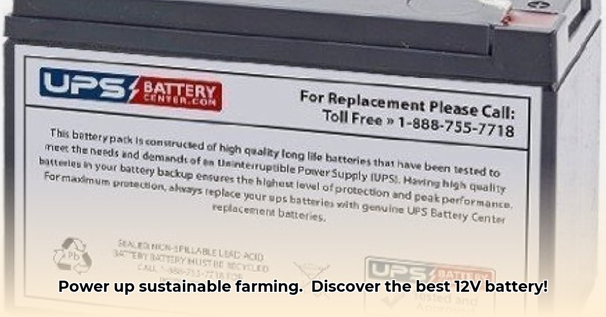 tractor-supply-12v-battery
